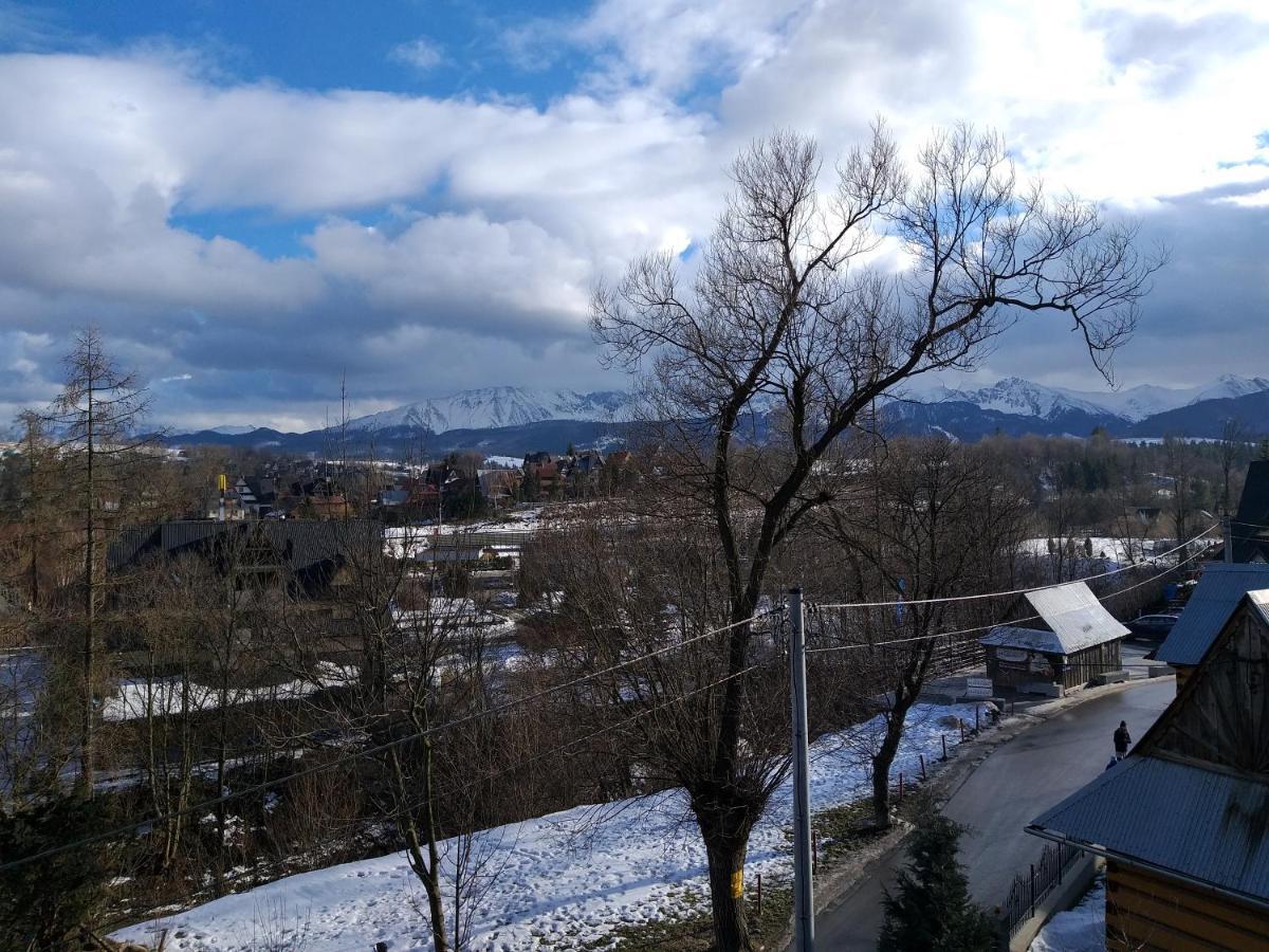 Apartamenty Harenda 39 Zakopane Dış mekan fotoğraf